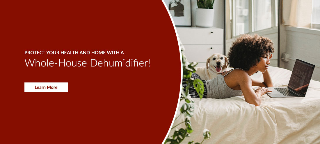 Protect your health and home with a whole-house dehumidifier! 