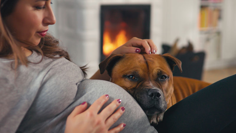 Winter Gas Fireplace Safety for Pets and Kids