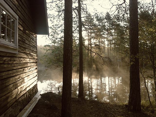 opening cottage mist